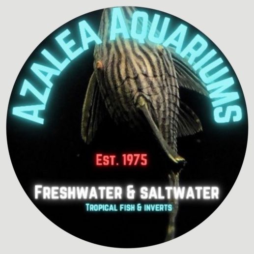 AzaleaAquariums1748919753.jpg