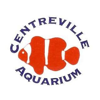CentrevilleAquarium1748752678.jpg