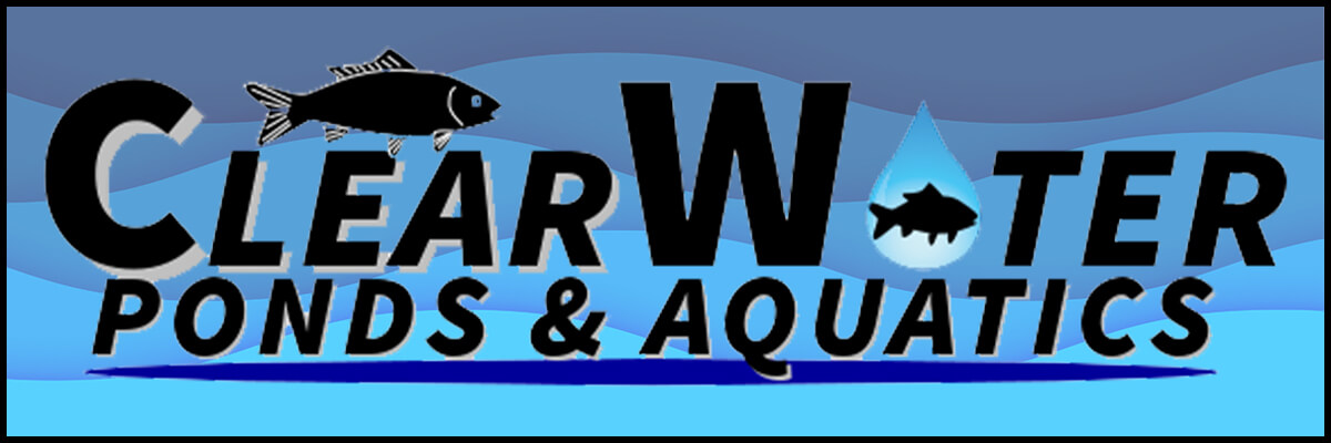 ClearwaterPonds&Aquatics1748722169.jpg