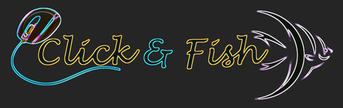 Click&FishAquatics1748922666.png