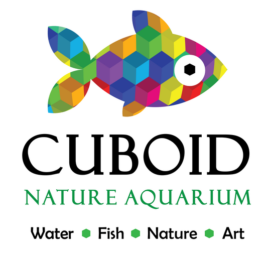CuboidNatureAquarium1748737938.png