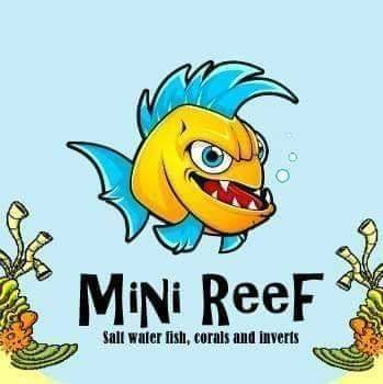 MiniReef1748734805.jpg