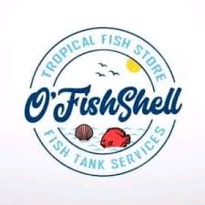 O'FishShell1748732382.jpg
