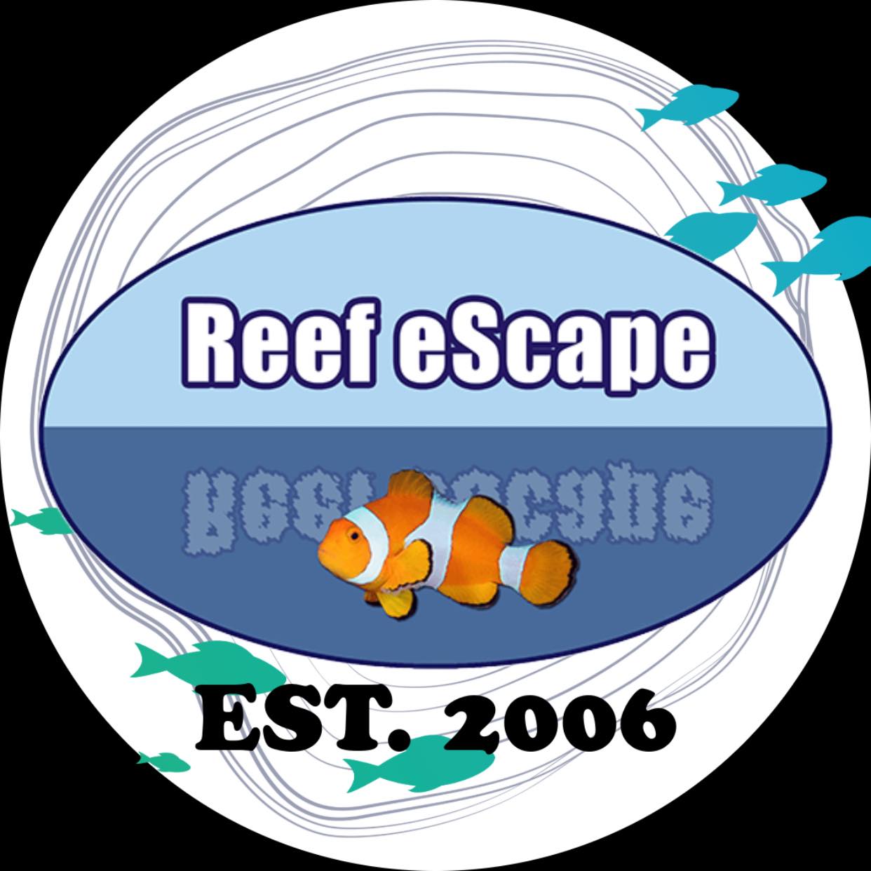 ReefeScape1748920403.jpg