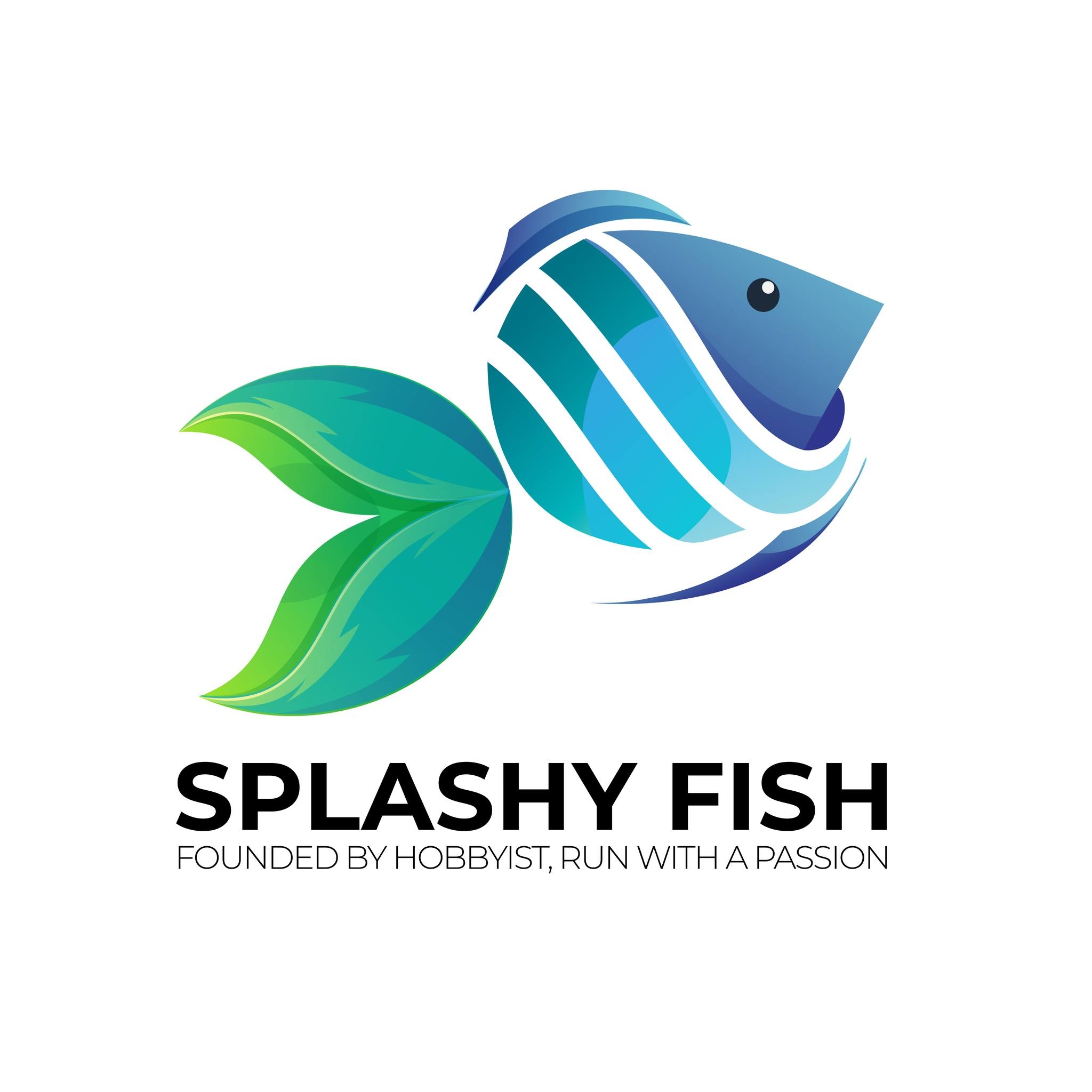SplashyFish1748753160.jpg