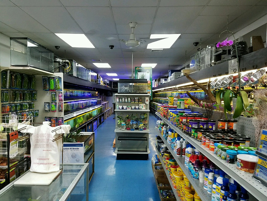 William'sGreenbankAquariumInc1748570464.jpg