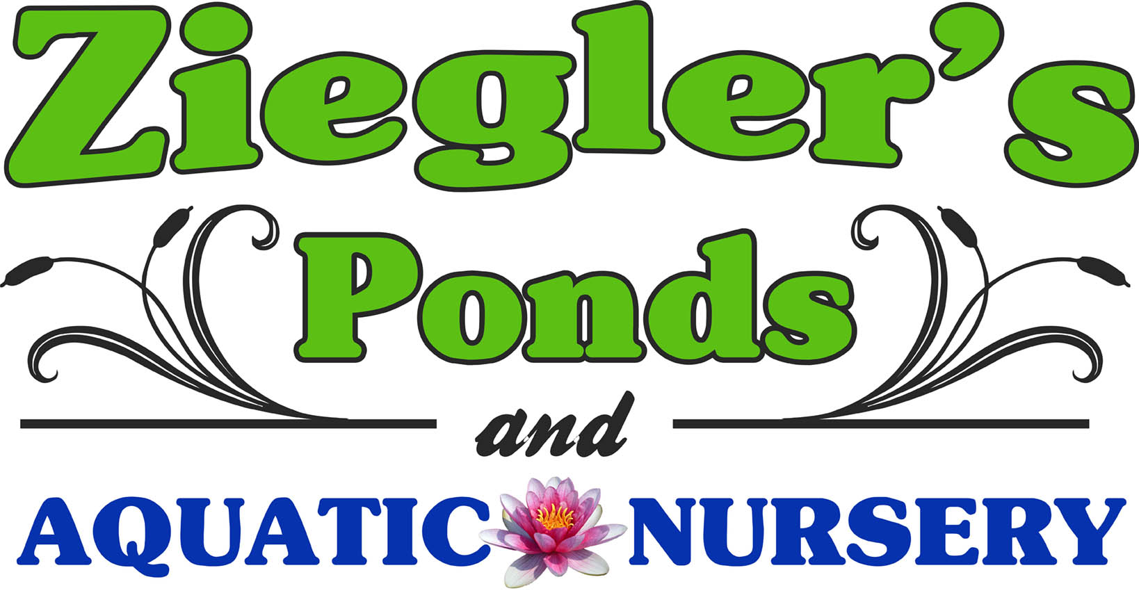Ziegler'sPondsandAquaticNursery1748736738.jpg